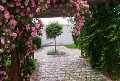 Casă cu 3 camere în Dănești - 8