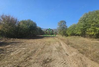 Teren 3960 mp / intravilan / Ramnicu Valcea - 3