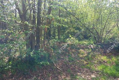 Teren intravilan 1300 mp de pe Valea Avrigului in zona Mlac - 1