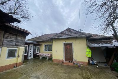 Casă cu 2 camere în Pestișu Mic - 4