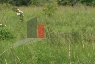 Teren Buftea cu iesire la lac - 29