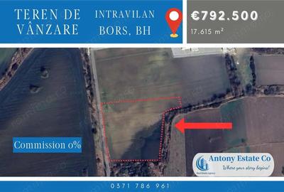 Teren de 17615 mp, în Borș - 1