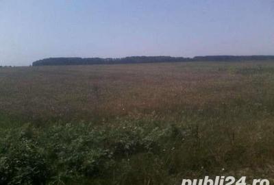 Teren de 12200 mp, în Mihăilești - 2