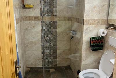 Apartament cu 4 camere decomandat în Valea Lupului - 4