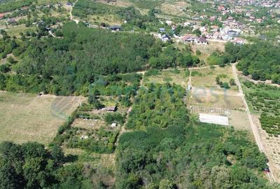 Teren Construcții intravilan de 1200 mp, în Paleu - 4