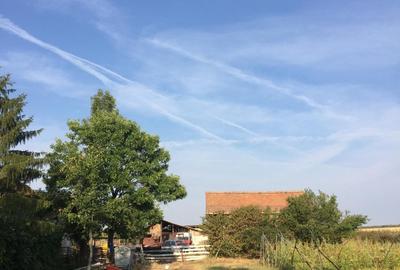 Teren agricol intravilan de 490000 mp, în Oboga
