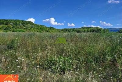 Teren intravilan Rm.Vl. Goranu-Calea Bucuresti 1100 mp aproape de oras - 2