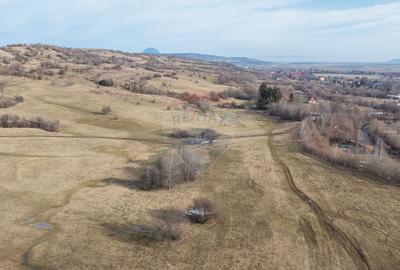 Teren Construcții intravilan de 4500 mp, în Tohanu Nou - 7