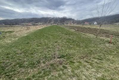 Teren de 3145 mp, în Mănăstirea Cașin - 6