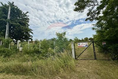 Teren pretabil constructii/10 min de Baia Mare - 6