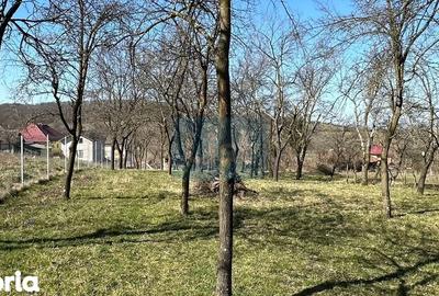 Casă cu 3 camere cu Teren 3349 Mp în Central - 2