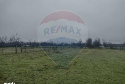 Spațiu comercial, în Cocora - 4