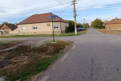 ?  Casă de Poveste în Șiria, Arad- Locație Rară - 6