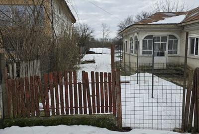 Teren de 1569 mp, în Cornetu - 7