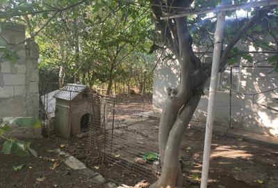 Casă individuală cu 9 camere cu Canalizare în Central - 3