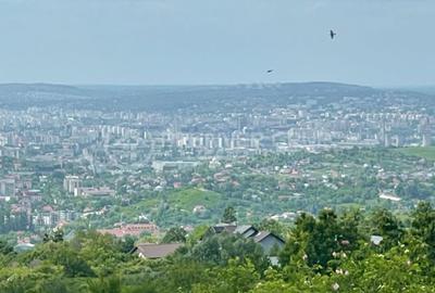 Teren agricol extravilan de 952 mp, în Bucium - 3