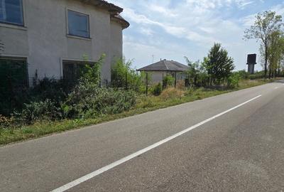 Constructii la strada in Cucorani pe 1 ha de teren - 4