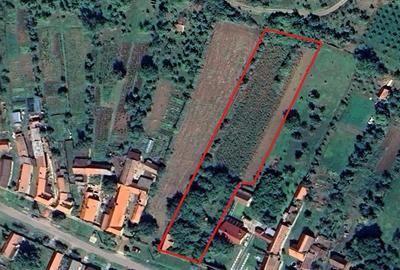 Casă cu 3 camere în Zăuan - 2