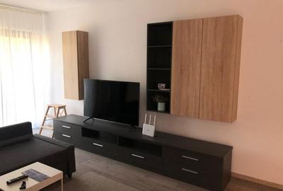 Inchiriere garsoniera Piata Victoriei Inchiriere garsoniera Piata Victoriei - 3