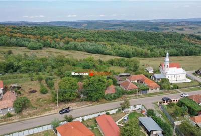 O oportunitate rara in mijlocul naturii teren generos... - 3