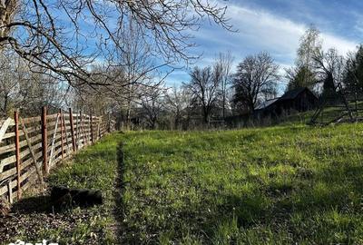 Teren de 2500 mp, în Valea Doftanei - 2