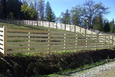 Teren de 1000 mp, în Lunca