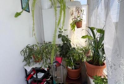 Apartament 3 camere str Victoriei 73mp - 8