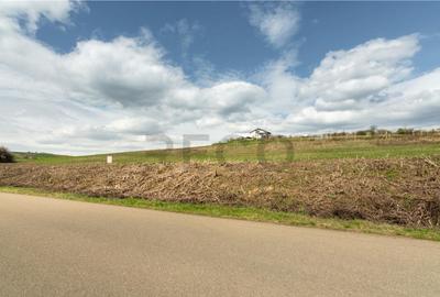 Teren intravilan Cetariu - 5