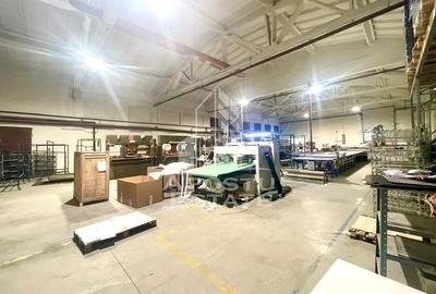 Hala industriala - zona Aradul Nou - 7