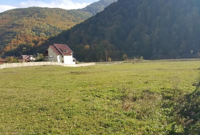 Teren Construcții intravilan de 6025 mp, în Lepșa - 2