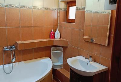 Proprietar inchiriez ap. 2 camere renovat Petre Ispirescu - 7