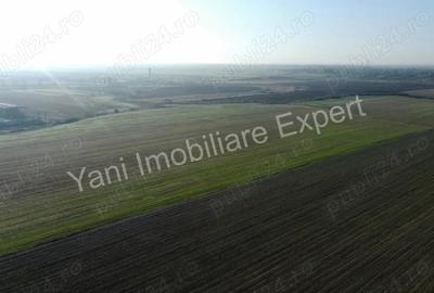 Teren de vanzare in comuna Cateasca, Jude? Arge?. - 2