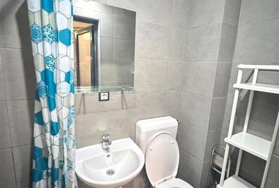 Garsonieră decomandată, mobilată în Vasile Aaron - 11