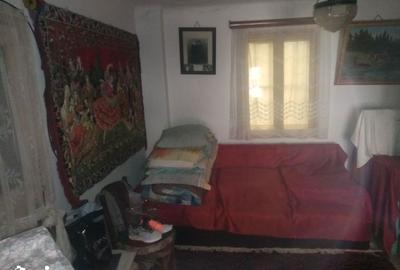 Casă cu 2 camere cu Teren 3198 Mp în Aninoasa - 7