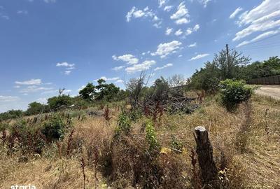 Teren de 1000 mp, în Salcia - 3