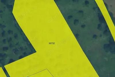 Teren în Stoenești - 2