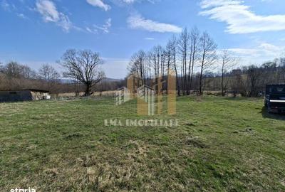 Teren de 1600 mp, în Tohănița - 5