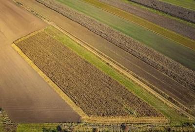 De vanzare teren intravilan la intrarea in Arcus - 5