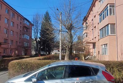 Apartament cu 2 camere semidecomandat în Petros - 2