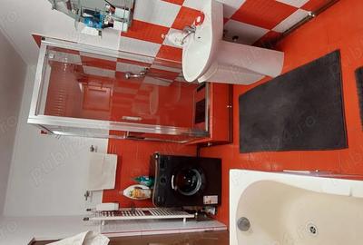 Casa de vanzare in Ampoi?a, com. Mete? - la 10 km de Alba Iulia - 1