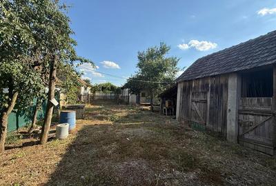 Casă individuală cu 5 camere cu Teren 1518 Mp în Cheresig - 9