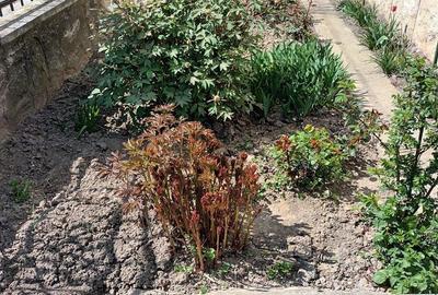 Casă cu 3 camere în Bâlc - 2