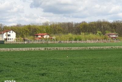 Spațiu comercial, în Balotești - 10