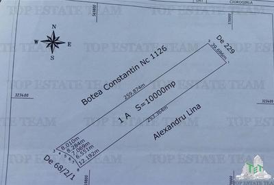 SUPER-PRET Teren 1ha intravilan intre A0, padure si raul Sabar - 5