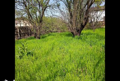 Teren de 4908 mp, în Bariera Vâlcii - 4