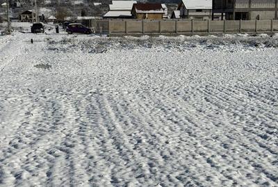 Spațiu comercial, în Proaspeți - 1