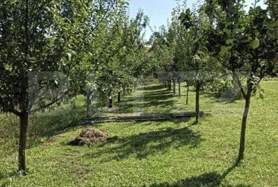 Casă cu 2 camere în Gheja - 10
