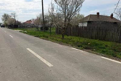 Teren de 5400 mp, în Păltinișu - 4