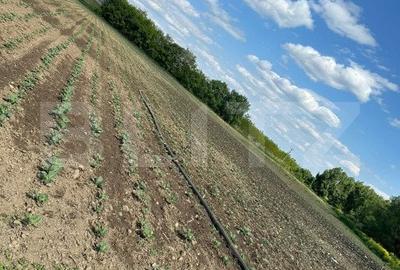 Teren 4800 mp pentru investit, zona Radauti - 2