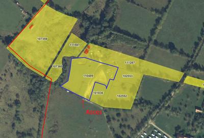 Teren intravilan 3 parcele in total 13.111 mp Utilitati - Bran, Sohodol - 1